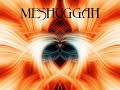 26 of the Best of Meshuggah (Greatest Hits)