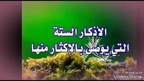 الأذكار الستة التي يوصي بالإكثار منها 🌺🌷🌷