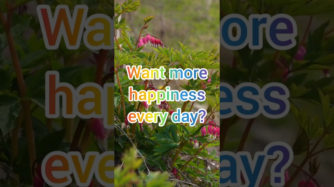 Gratitude Practice: Appreciate What You Have 