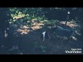 موسيقى حزينه نهال وكمال 