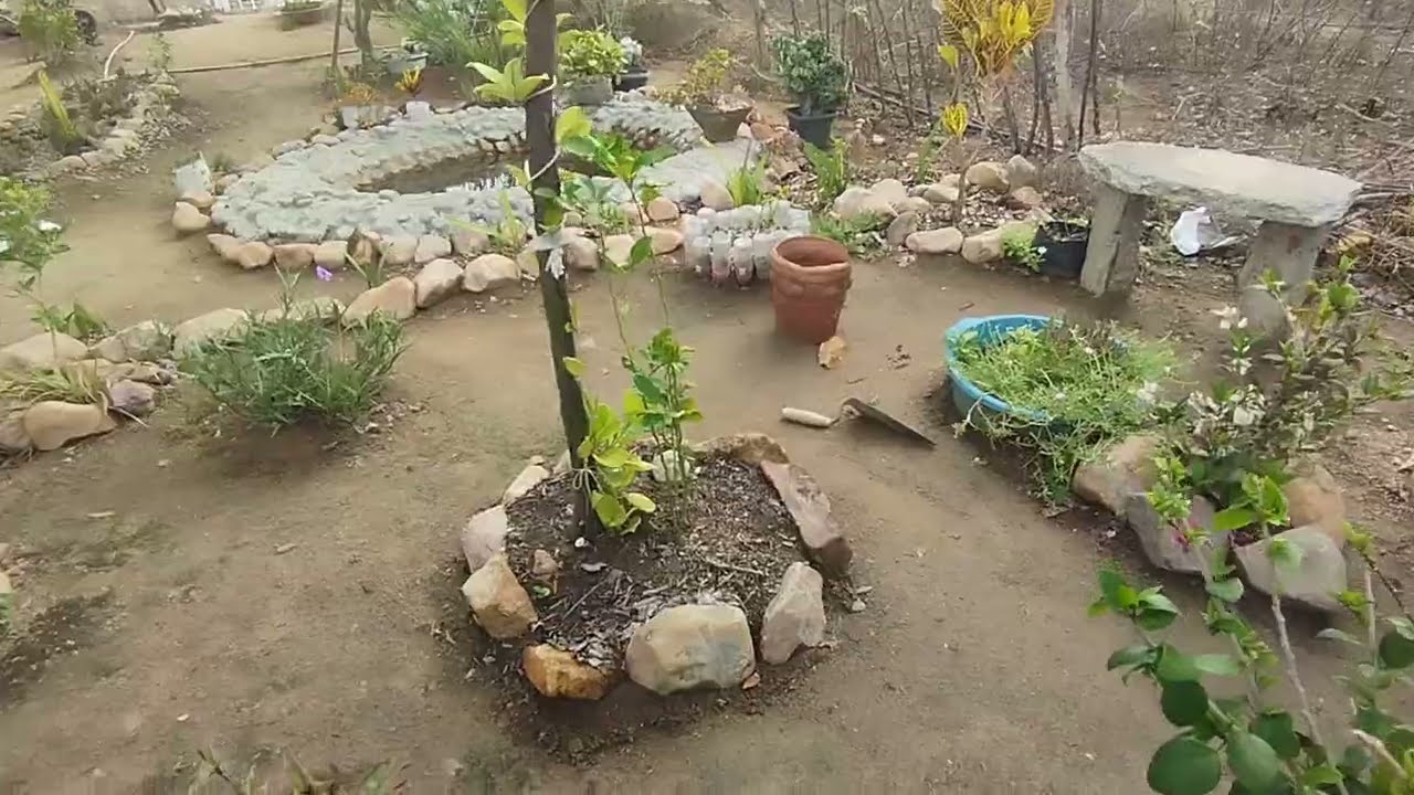 Fazendo o replante de mais algumas coisas 🌿😍