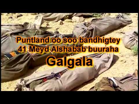 Puntland oo soo bandhigtay 41 meyd Alshababta buuraha Galgala.