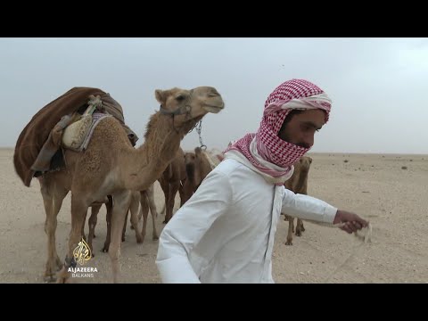 Video: Koje su države u pustinjskoj klimatskoj zoni?