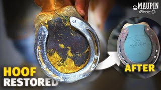 Satisfying Full Horse Hoof Restoration in 4K!