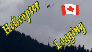 🚁 Heli-logging (Canada) 🌲 by tletter 808 views 9 months ago 5 minutes, 57 seconds