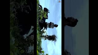 I Wanna Fly Short Video Krishnarjuna Yudham Song