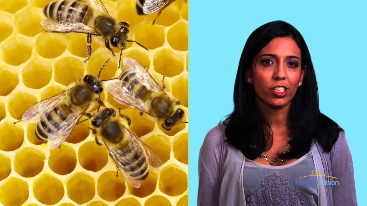 Local Honey & Allergies Myth HealthiNation YouTube
