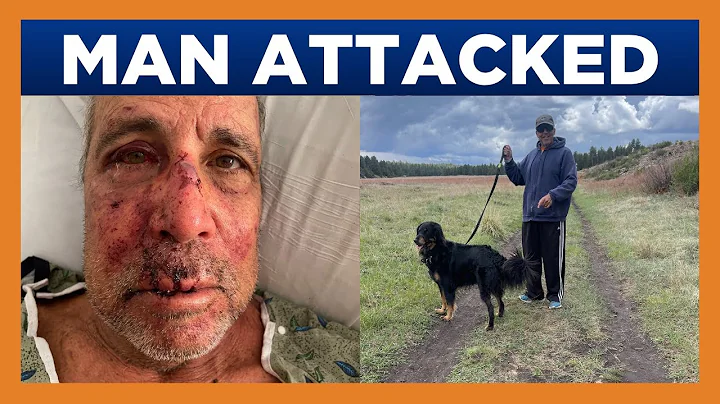 Man walking dog in Cave Creek neighborhood attacked by stranger