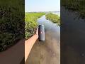 Jbl bass essential2