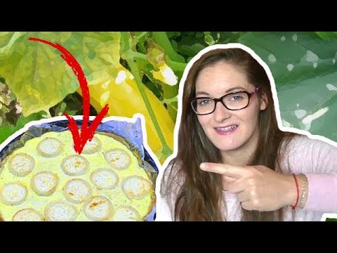 recette-~-tarte-courgette-&-chÈvre