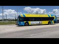 Buses in Myrtle Beach, South Carolina 2023