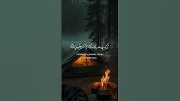 لم تر كيف فعل ربك بأصحاب الفيل ـ سورة الفيل #قرآن