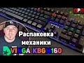 Распаковка бюджетной механической клавы Vinga KBGM160.