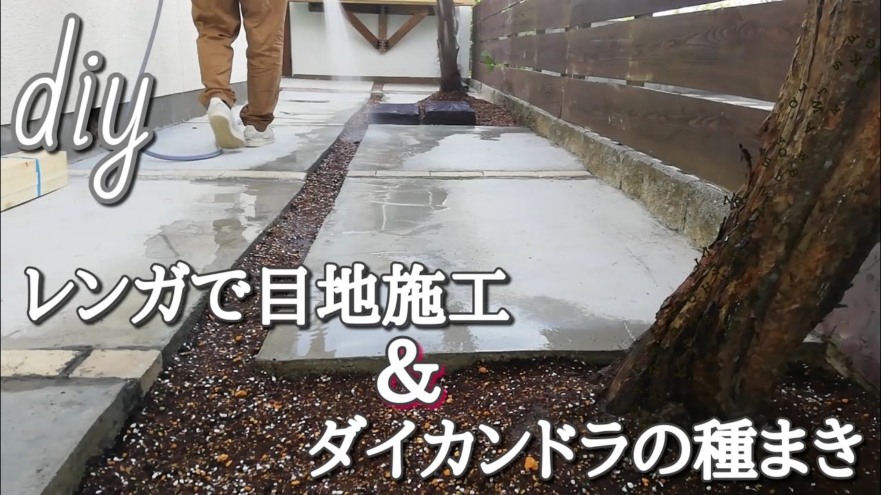 Diy レンガの目地とダイカンドラ グランドカバー で庭を快適に Youtube