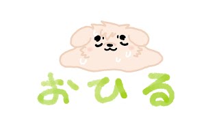 【裏作業】おひる【雑談】