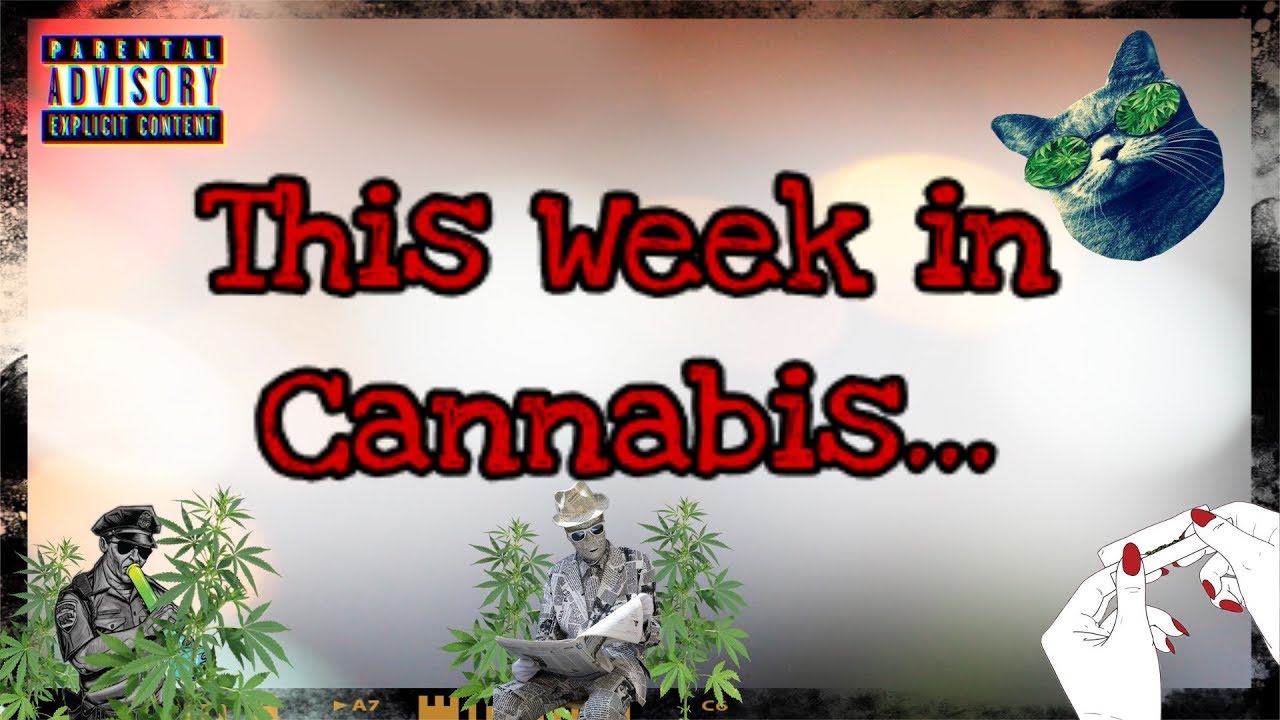 Cannabis News with Mr. SparkzAlot 1/1/2019