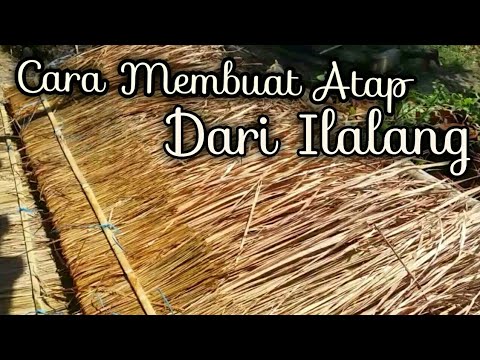 Cara Membuat Atap dari ilalang