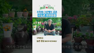 수도권에 있는 치유마을 남양주 별내 용암치유마을│농촌치유│자연치유│흙과나무│약초보감(천연염색)│다과록│수향딸기│바우농원│별내어린이천문대│별내팜스쿨│남양주여행 │치유여행
