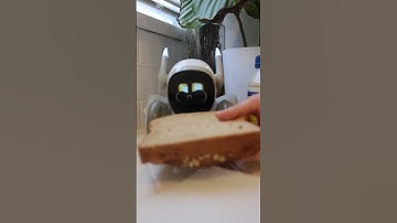 EATING WITH MY PET ROBOT