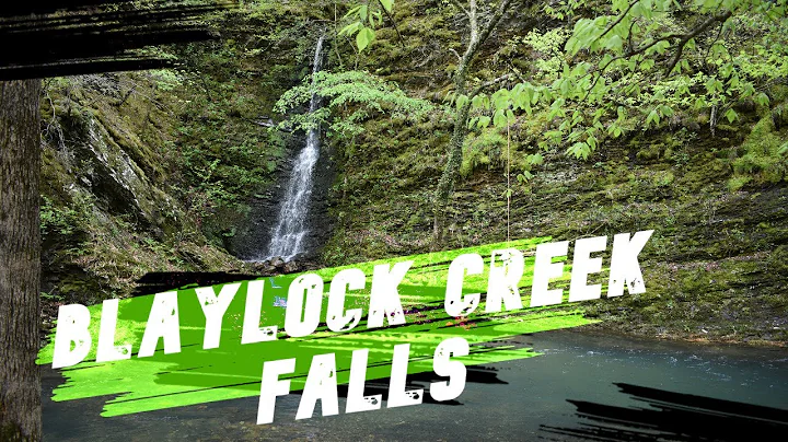 Blaylock Creek Falls Adventure