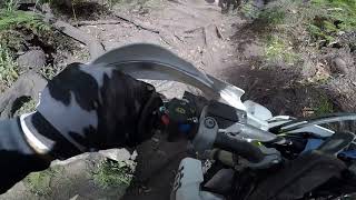 Dusty Cobaw Christmas