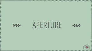 Photography Basics for Beginners - Aperture - Part 2 of 6