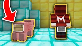 ENCONTREI O BOTÃO ESCONDIDO!!! - MINECRAFT