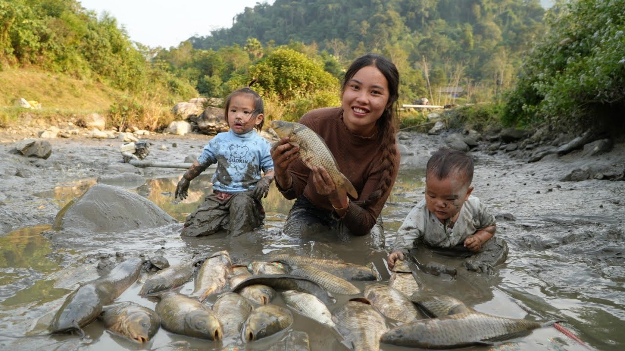 how to catch giant fish in mud to sell at market - buy boiled sweet potatoes for daughter to eat
