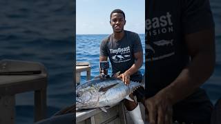 Tiny Camera on Tuna Fish 🐟 What We Captured is Crazy! #wildlife #tunafish