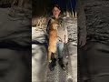 3rd fox of the year 👍🏻 #MinnesotaTrapper