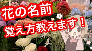 花の名前が覚えられない方へ〜僕はこうやって覚えました〜