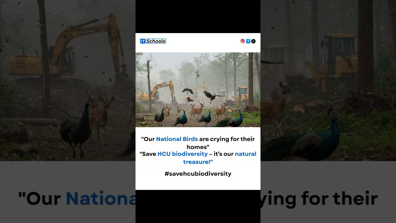 Save HCU  Hyderabad Forest 🌳🦚🙏🥲