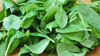 Health Benefits of Spinach