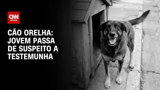 Cão Orelha Adolescente Deixa De Ser Suspeito Em Morte De Cachorro Bastidores Cnn