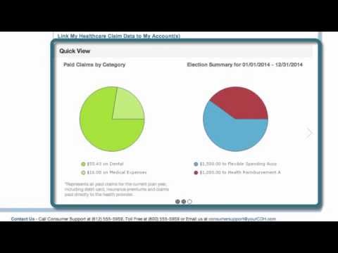 1Cloud Consumer Portal Introduction to FSA and HRA SD