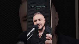 Nicu Cioanca -  Din tot ce aduni Omule-n grabă (cover) live 2023