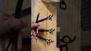 8.0 inches Professional Dog Grooming Scissors Set Straight & thinning & Curved & chunkers 4pcs
