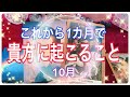 【2019年10月これから1カ月で🌈貴方に起こる事🦄✨】
