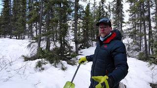 Studying the recovery of the mining impacted landscape in Yellowknife, Northwest Territories.