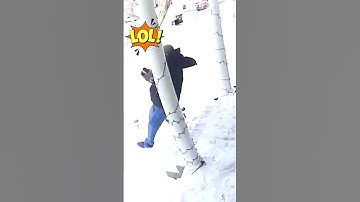 TRY NOT TO LAUGH 🤣 #26 | 2023 FUNNY FAILS COMPILATION #shorts #trynottolaugh #funny #fails