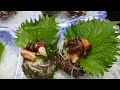 Rich People Improve Anemia By Eating Turban Shell Sashimi