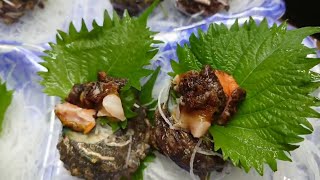 Rich People Improve Anemia By Eating Turban Shell Sashimi