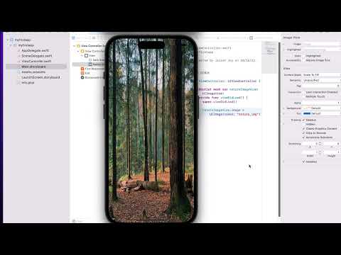 iOS - Display Image Using Swift Code | XCode | Iphone App Development | Change Image Run Time