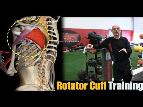 Rotator Cuff Training with Mike Boyle (part 1 of 2)