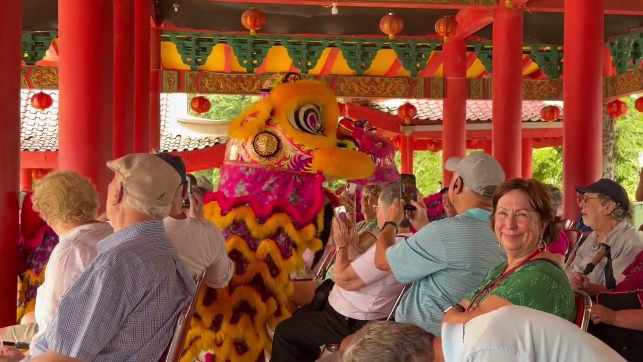 Traditional Chinese Lion Dance 