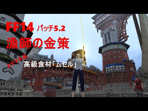 FF14　漁師の金策「ムセル」（おすすめ品）