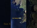 sea Snakes?? #googleearth #googlemap #hiddenongoogleearth... #Shorts #faye24h