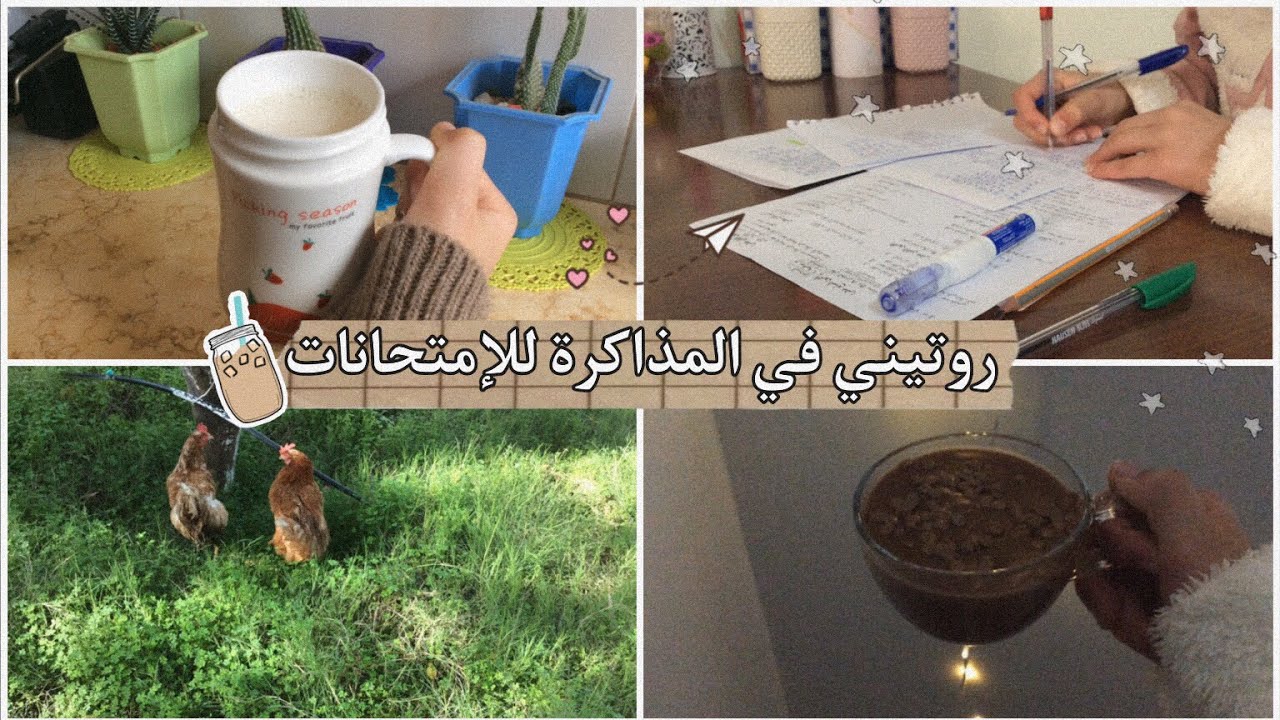 روتيني في المذاكرة للإمتحانات😩📚؟طالبة متوسط