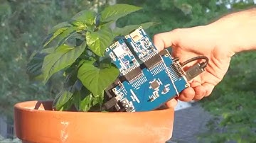 ShipIoT with Atmel SAM D21 Xplained, WINC1500, and bip.io