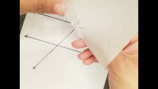Vertical Angle Congruency Proof with Paper Patty